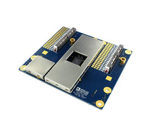 ADRV-DPD1/PCBZ